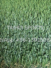 ইউভি প্রতিরোধী 50 মিমি কাস্টম আকার আউটডোর ল্যান্ডস্কেপ কৃত্রিম কৃত্রিম ঘাস ফুটবল ফুটবল ক্ষেত্রের জন্য